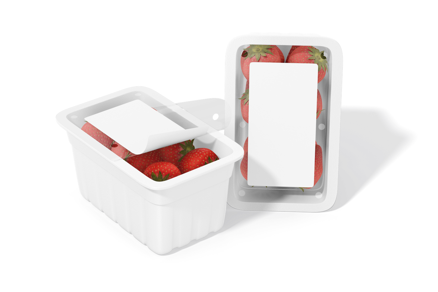 Top fruit and vegetable tray made of PET and compostable materials